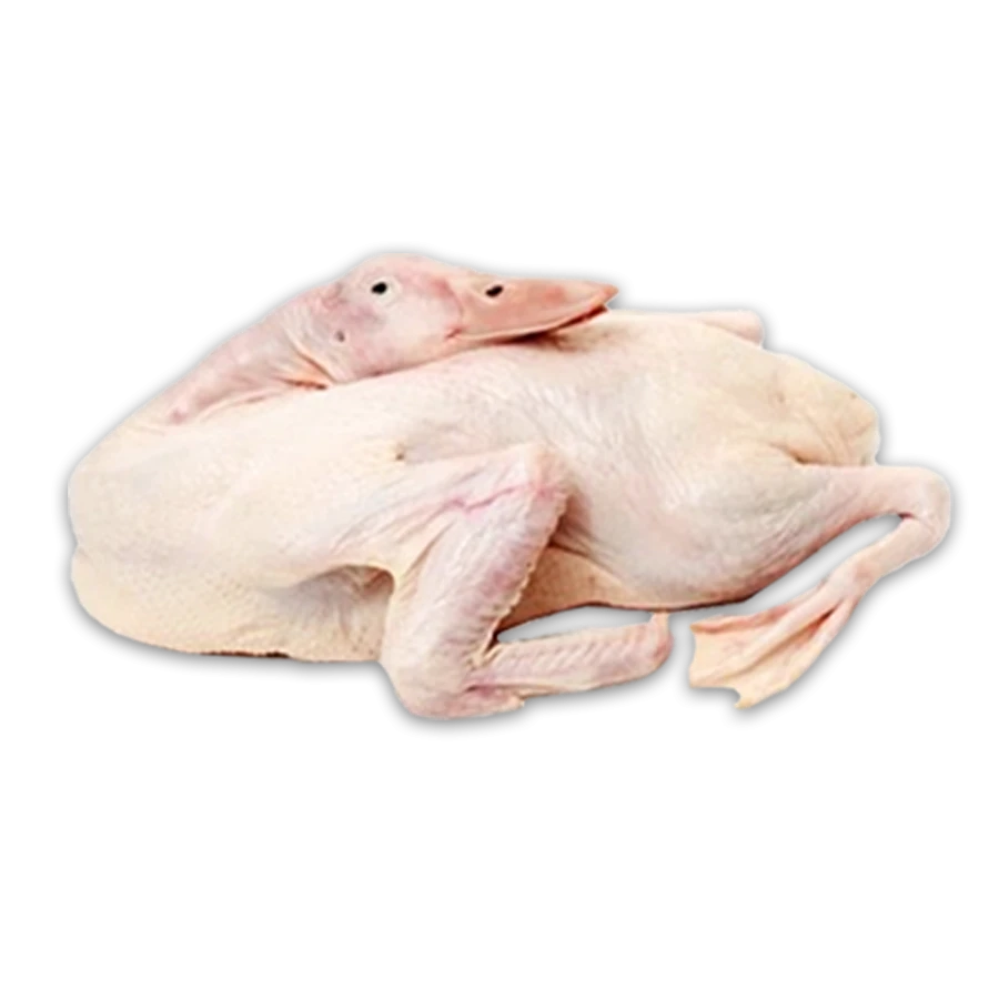ផលិតផល
