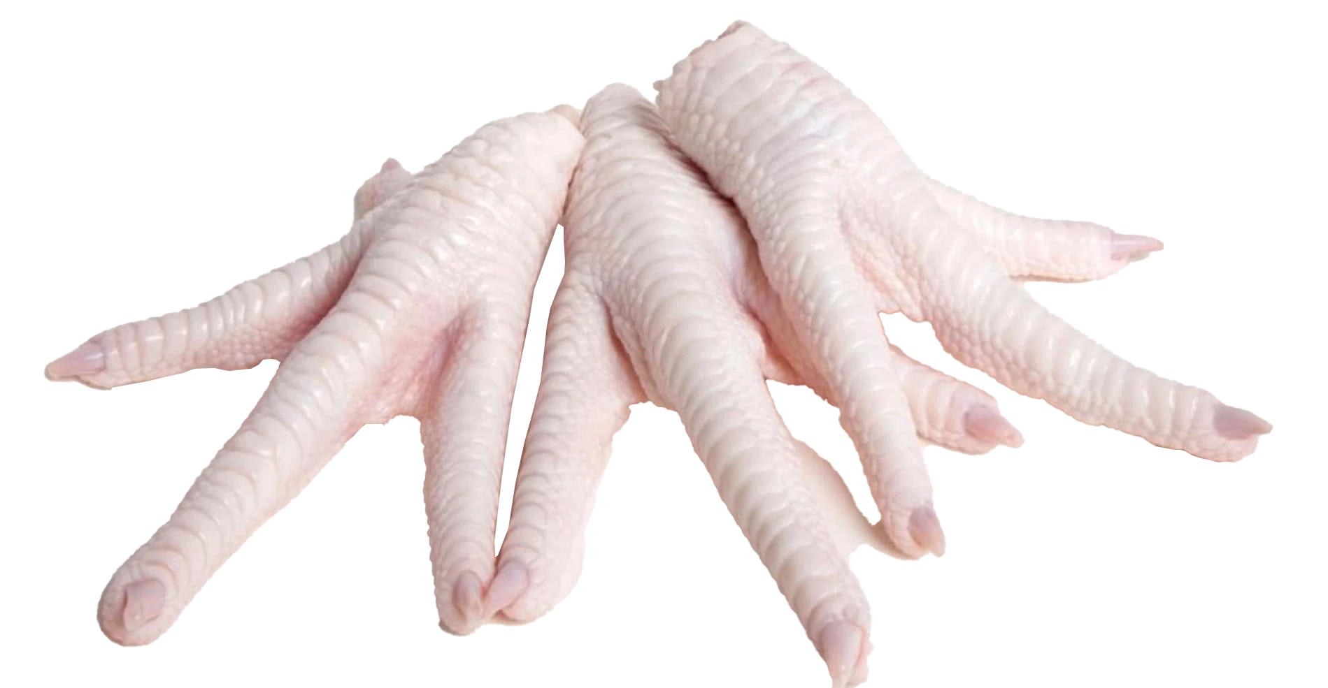 ផលិតផល